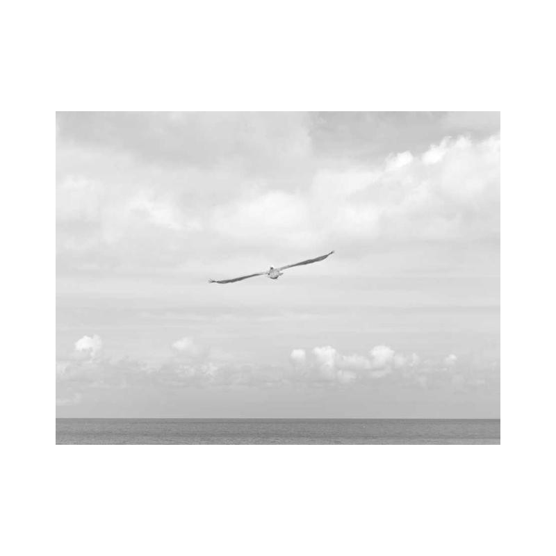 Sleek Steel Plate fr-FR